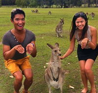 Runaway Tours - Kawana Tourism