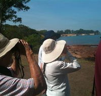 Follow That Bird - Kawana Tourism