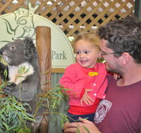 Blue Diamond Tours - Kawana Tourism