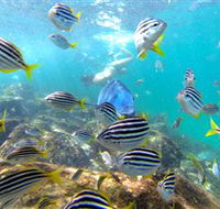EcoTreasures - Kawana Tourism