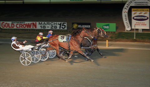 Bathurst Harness Racing Club - Kawana Tourism 3