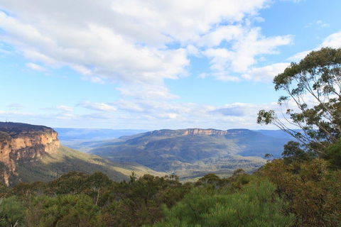 Dingo Travel - Kawana Tourism 1