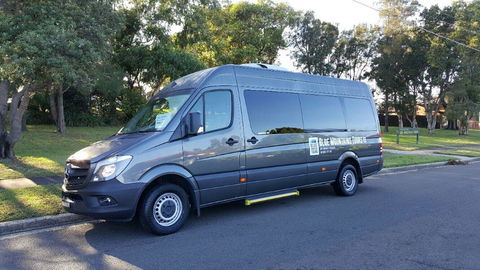 Dingo Travel - Kawana Tourism 2