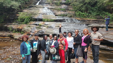 Dingo Travel - Kawana Tourism 3