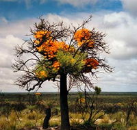 The Delmar Gallery - Kawana Tourism