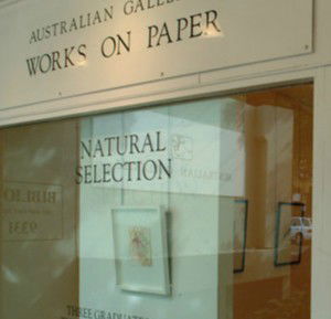 Australian Galleries - Roylston Street - Kawana Tourism 1