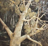Ku-Ring-Gai Art Centre  Gallery - Kawana Tourism