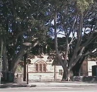 Rozelle Weekend Markets - Kawana Tourism