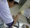 Fremantle Chocolate Pty ltd - Kawana Tourism