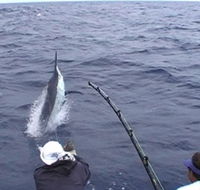 Amokura Charters - Kawana Tourism