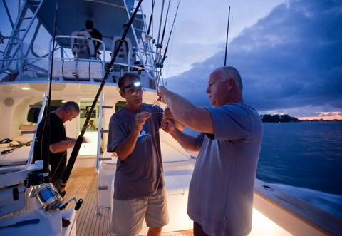 Amokura Charters - Kawana Tourism 1