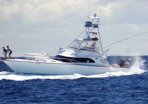 Amokura Charters - Kawana Tourism 2