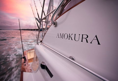 Amokura Charters - Kawana Tourism 4