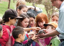 Blackbutt Reserve - Kawana Tourism 2