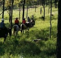 Hunter Valley Horse Riding and Adventures - Kawana Tourism