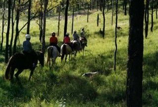 Hunter Valley Horse Riding And Adventures - Kawana Tourism 0