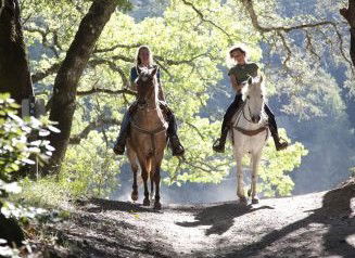 Hunter Valley Horse Riding And Adventures - Kawana Tourism 1