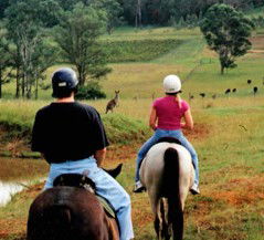 Hunter Valley Horse Riding And Adventures - Kawana Tourism 3