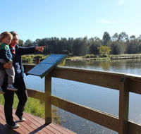 Hunter Wetlands Centre Australia - Kawana Tourism