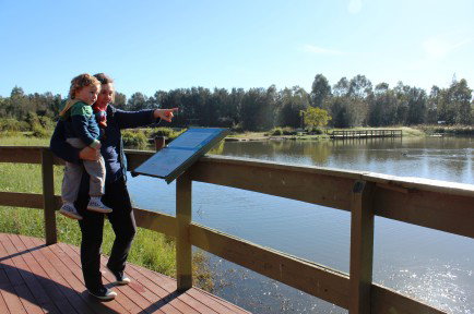 Hunter Wetlands Centre Australia - Kawana Tourism 0