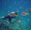 Imagine Cruises - Kawana Tourism