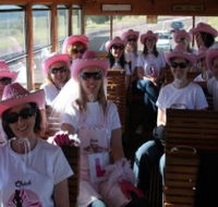 Newcastles Famous Tram - Kawana Tourism