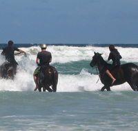 Pegasus Park Equestrian Centre - Kawana Tourism