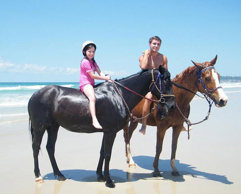 Pegasus Park Equestrian Centre - Kawana Tourism 1