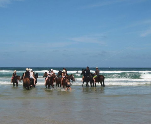 Pegasus Park Equestrian Centre - Kawana Tourism 2