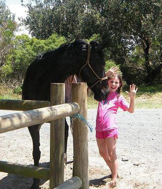 Pegasus Park Equestrian Centre - Kawana Tourism 3
