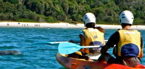 Go Sea Kayak - Kawana Tourism 2