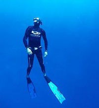 Byron Bay Dive Centre - Kawana Tourism 1