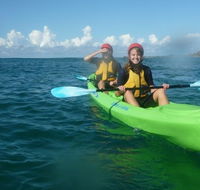 Cape Byron Kayaks - Kawana Tourism