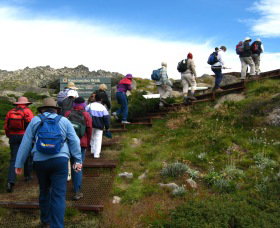 High Country Motel Tours - Kawana Tourism 2