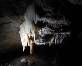 Country Charmâ„¢ Discovery Tours - Kawana Tourism 1
