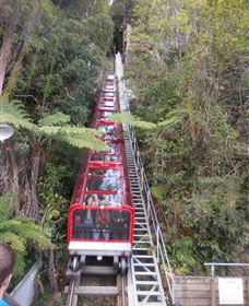 Country Charmâ„¢ Discovery Tours - Kawana Tourism 6