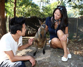 VIP Aussie Gold - Kawana Tourism 0