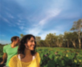 AAT Kings Guided Tours (Top End) - Kawana Tourism 3