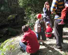 Boronia Tours - Kawana Tourism 2