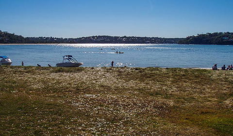 Bonnie Vale Picnic Area - Kawana Tourism 1