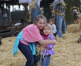 Golden Ridge Animal Farm - Kawana Tourism 2