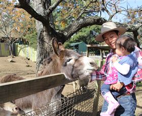 Golden Ridge Animal Farm - Kawana Tourism 1