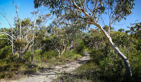 Aboriginal Heritage Walk - Kawana Tourism 2