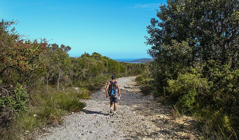 Aboriginal Heritage Walk - Kawana Tourism 3