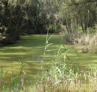Second Ponds Creek walk - Kawana Tourism