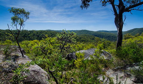 Marramarra Ridge To Smugglers Ridge Walking Track - Kawana Tourism 3
