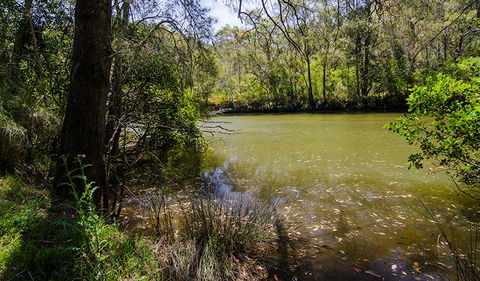 Marramarra Ridge To Smugglers Ridge Walking Track - Kawana Tourism 2