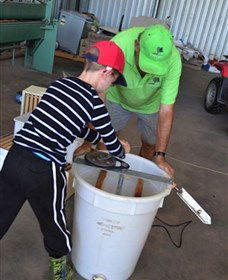 Canoelands Orchard - Kawana Tourism 2