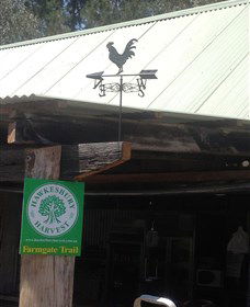 Canoelands Orchard - Kawana Tourism 3