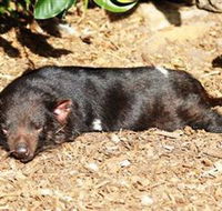 Symbio Wildlife Park - Kawana Tourism